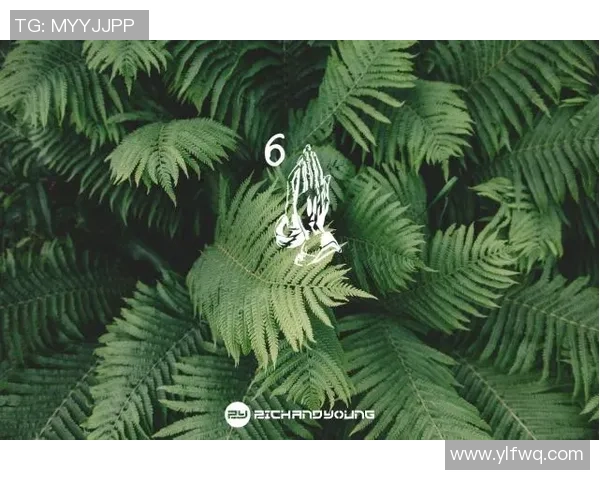 聚焦极限运动：探讨北京极限运动队的意识形态与文化认同