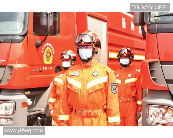 前进之鹰与唉青年之间的奋斗与成长之路探讨